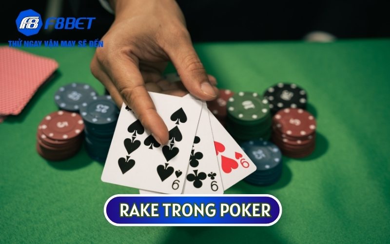 GIẢI MÃ BÍ MẬT CỦA RAKE TRONG POKER CHƯA TỪNG ĐƯỢC TIẾT LỘ